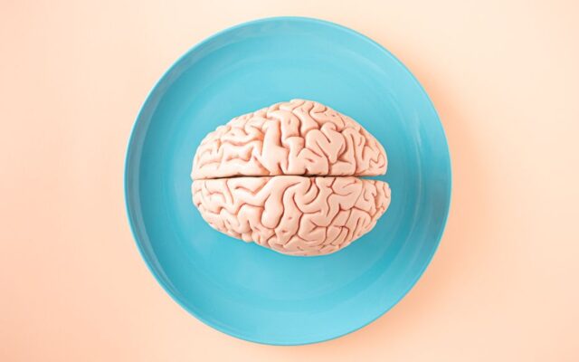 gut brain anxiety