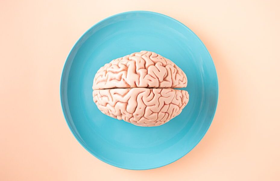 gut brain anxiety